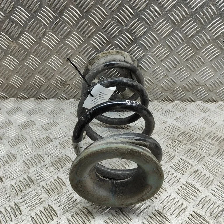 Aizmugurējā spirālatspere 118847900A