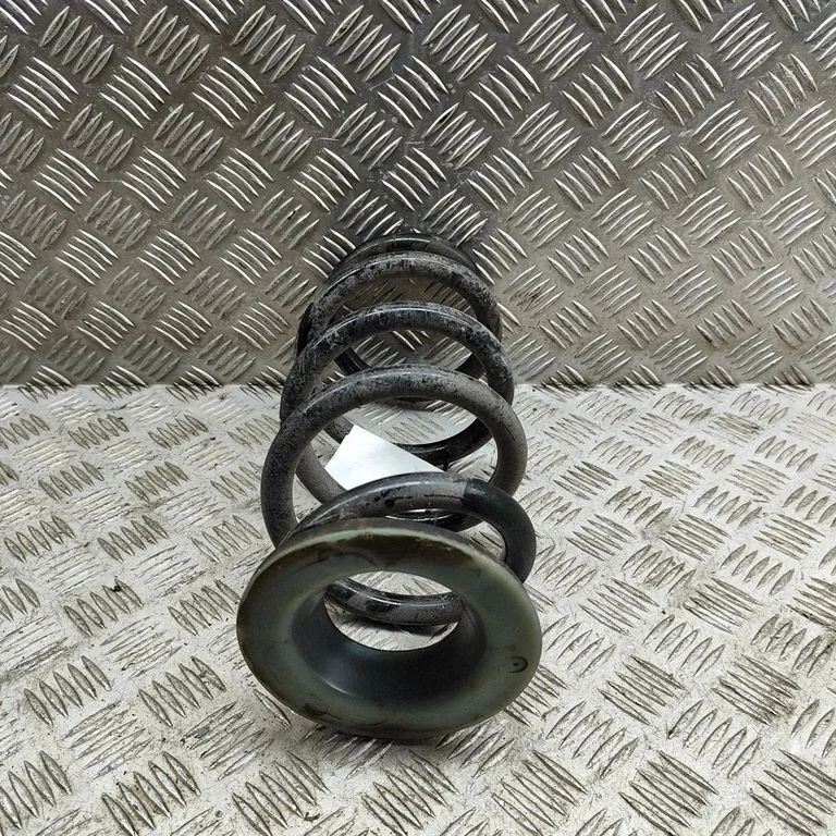 Rear coil spring 118847400B