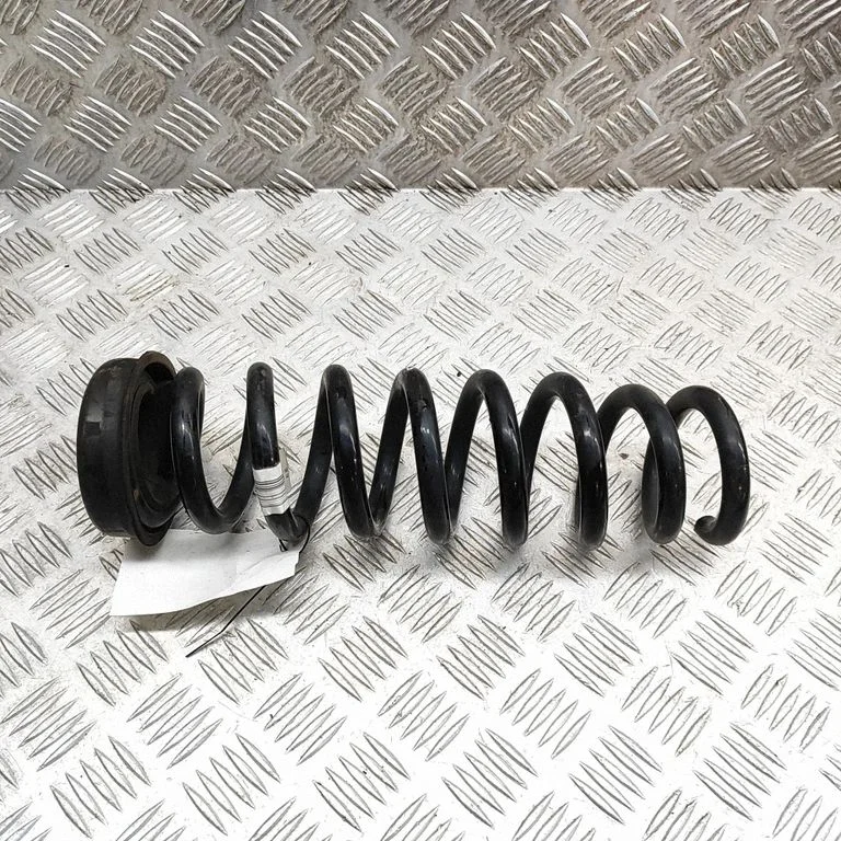 Aizmugurējā spirālatspere 6851728
