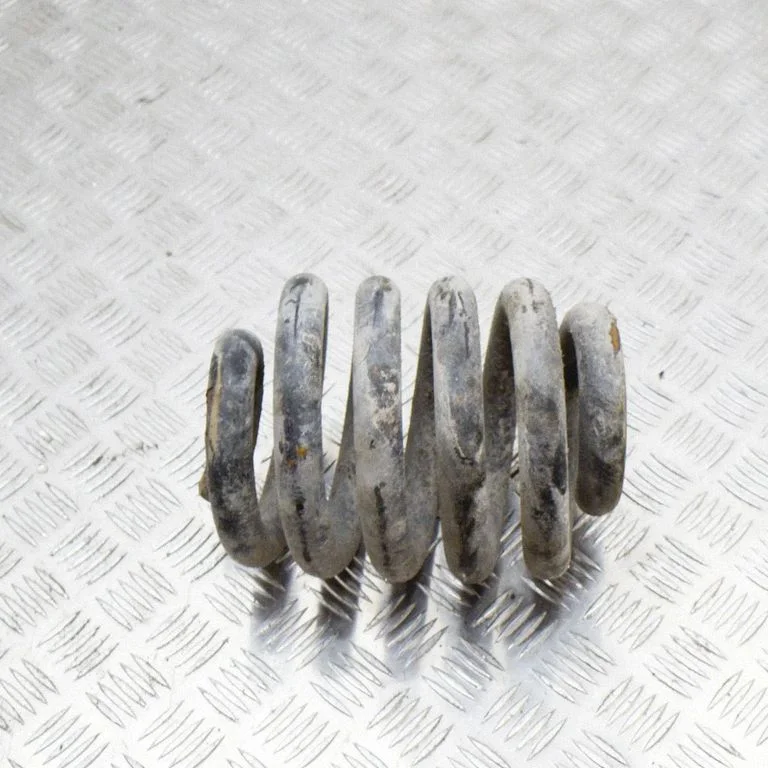 Aizmugurējā spirālatspere – labā