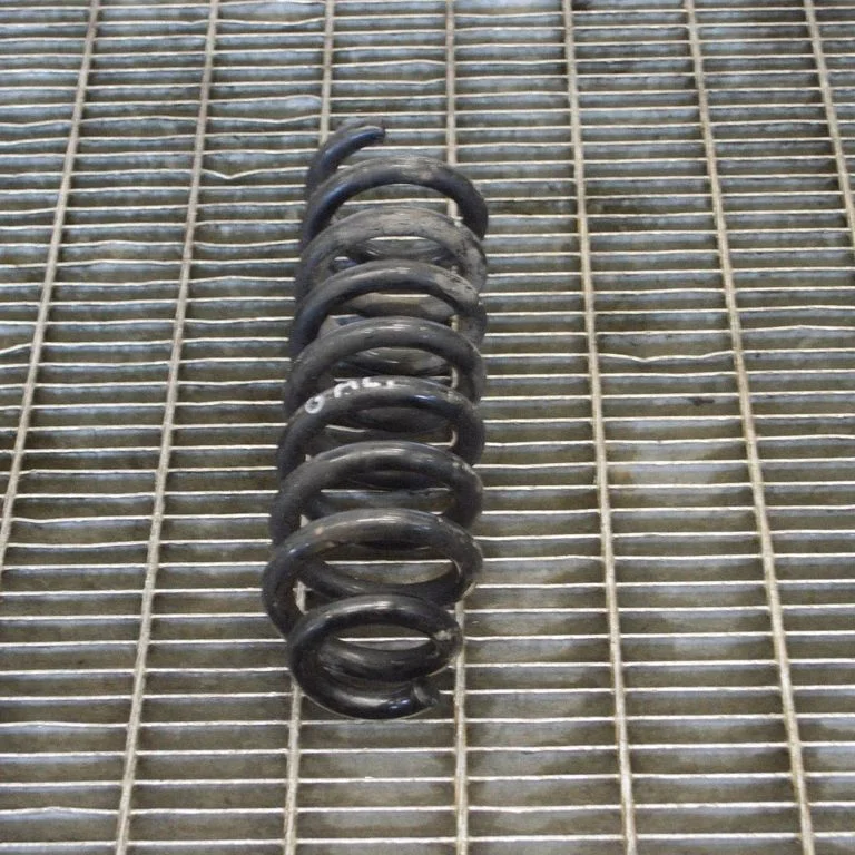 Rear coil spring – left