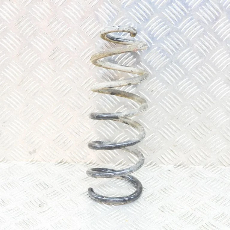 Aizmugurējā spirālatspere – kreisā