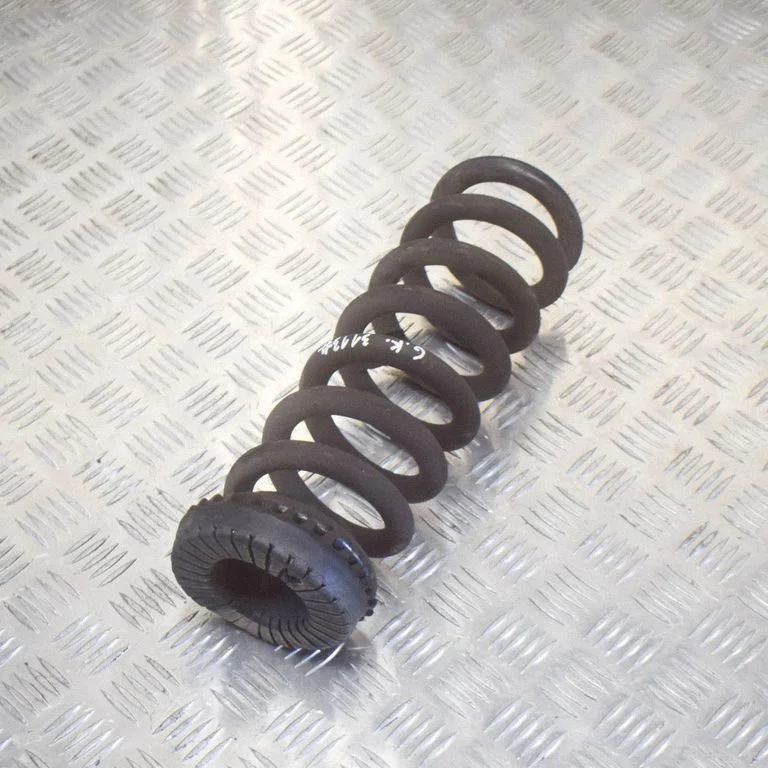 Rear coil spring 670009378