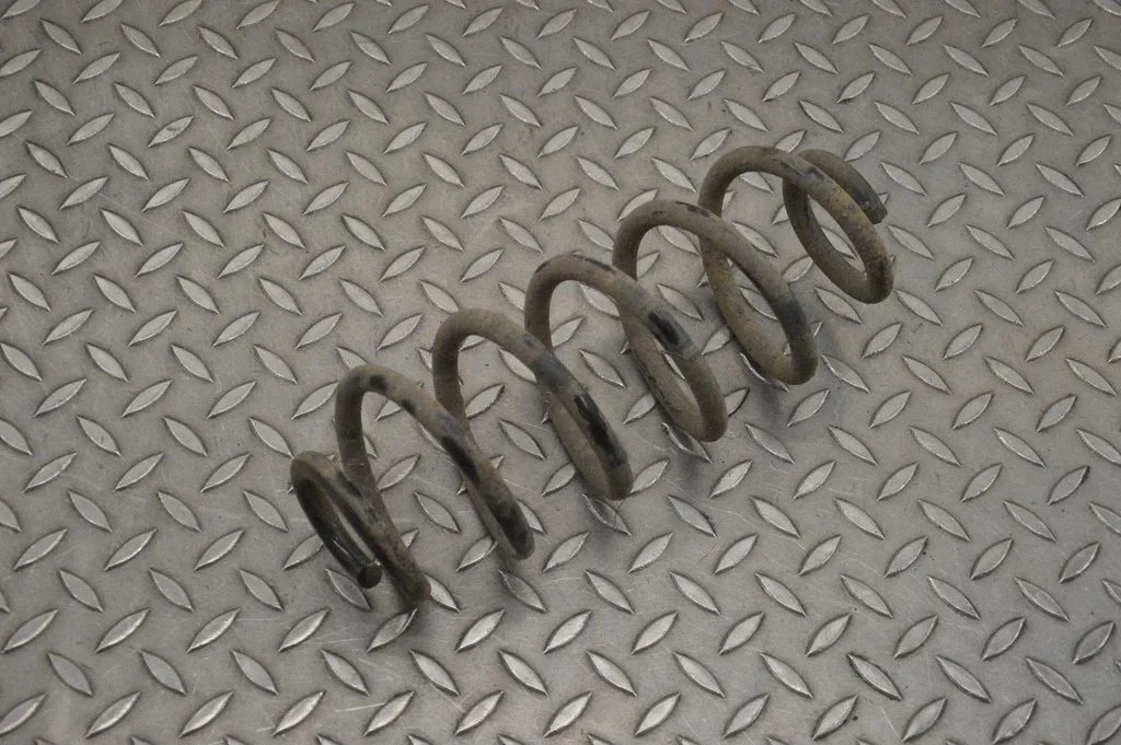 Rear coil spring – left