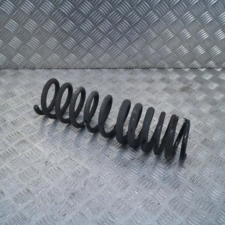 Aizmugurējā spirālatspere – kreisā