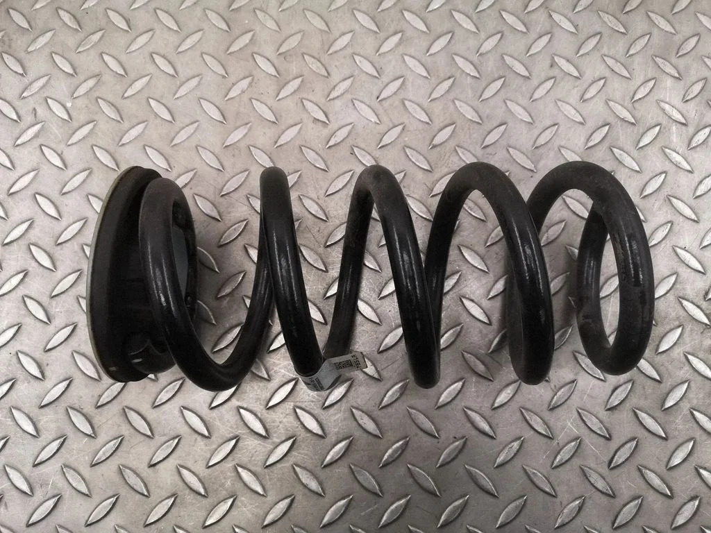 Rear coil spring 118847600B