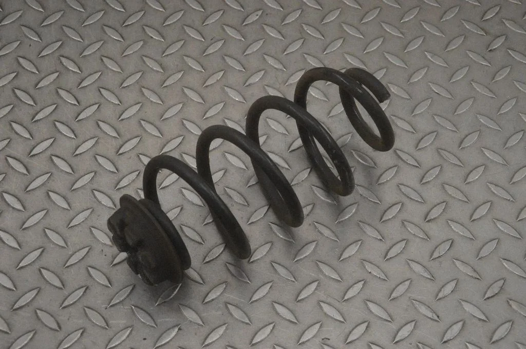 Rear coil spring – left