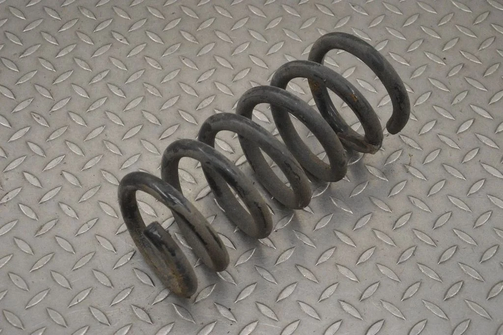 Rear coil spring FR3C5560HA