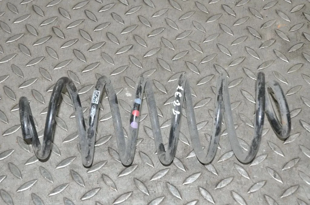 Tagumine keerdvedru – vasak