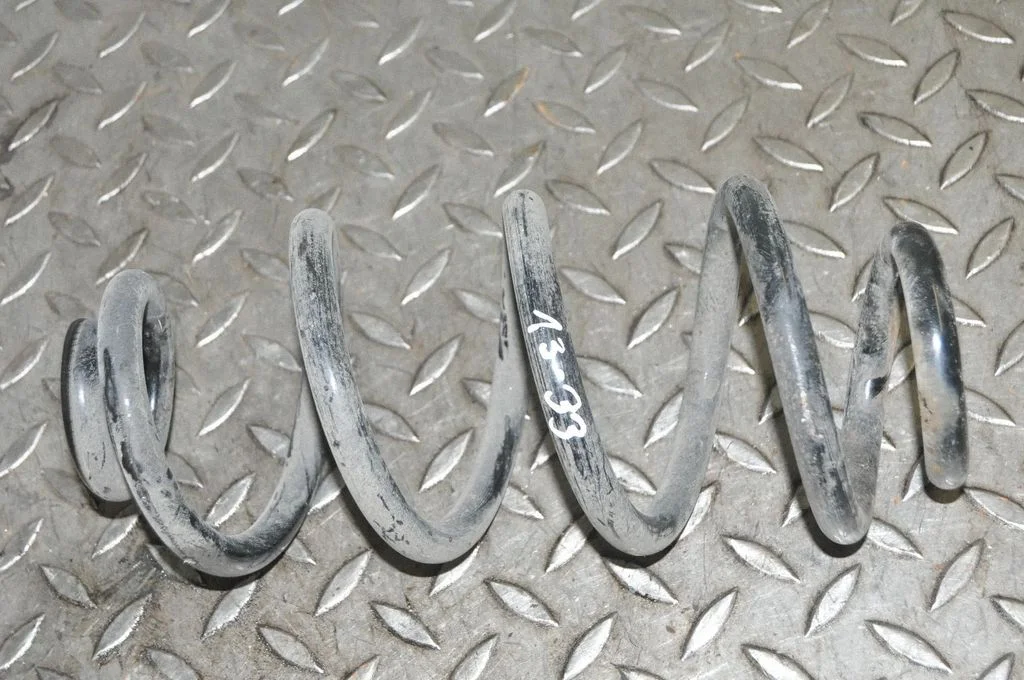 Aizmugurējā spirālatspere – kreisā