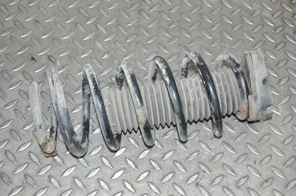 Aizmugurējā spirālatspere – kreisā