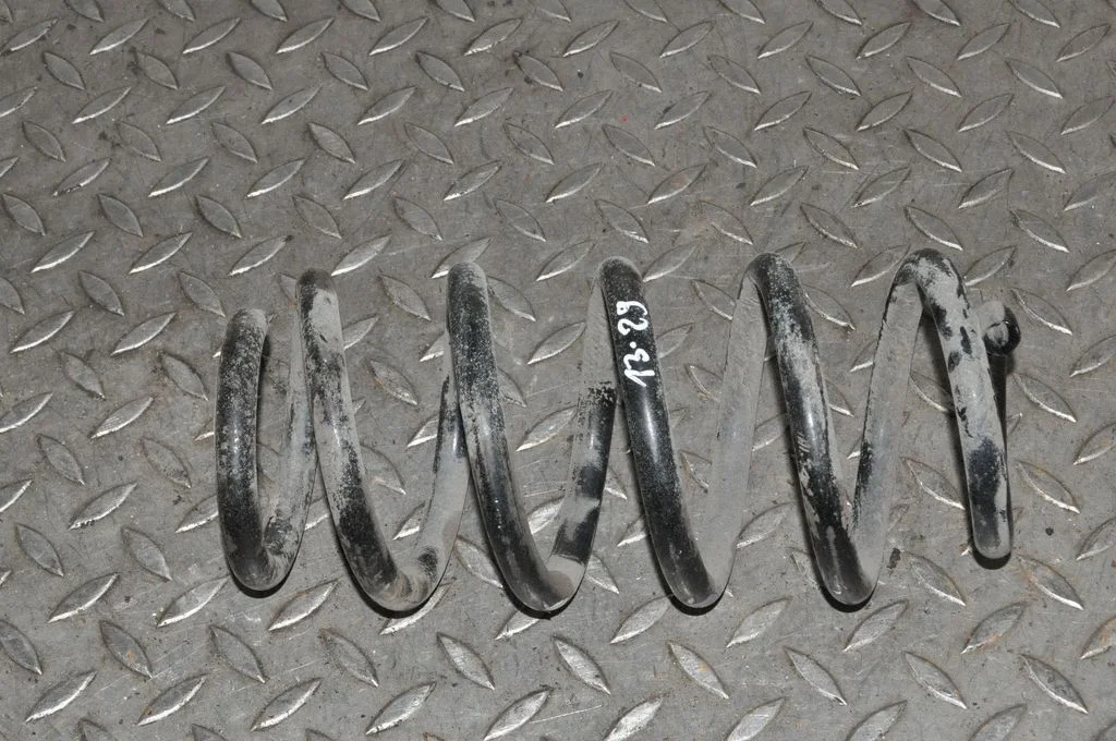 Aizmugurējā spirālatspere – kreisā