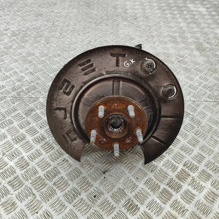 Rear wheel hub 102741100D
