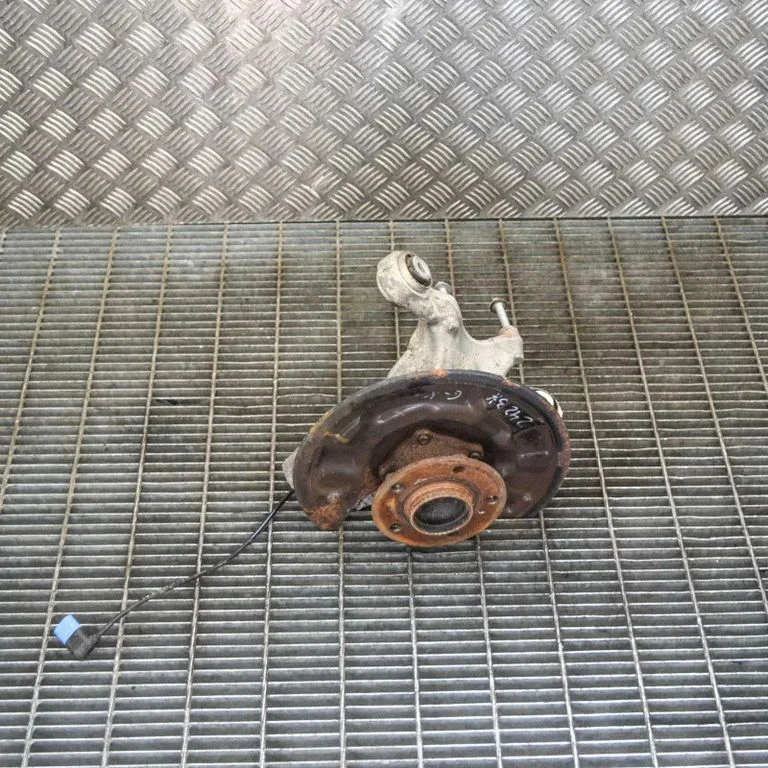 Aizmugurējā rumba A2464230420