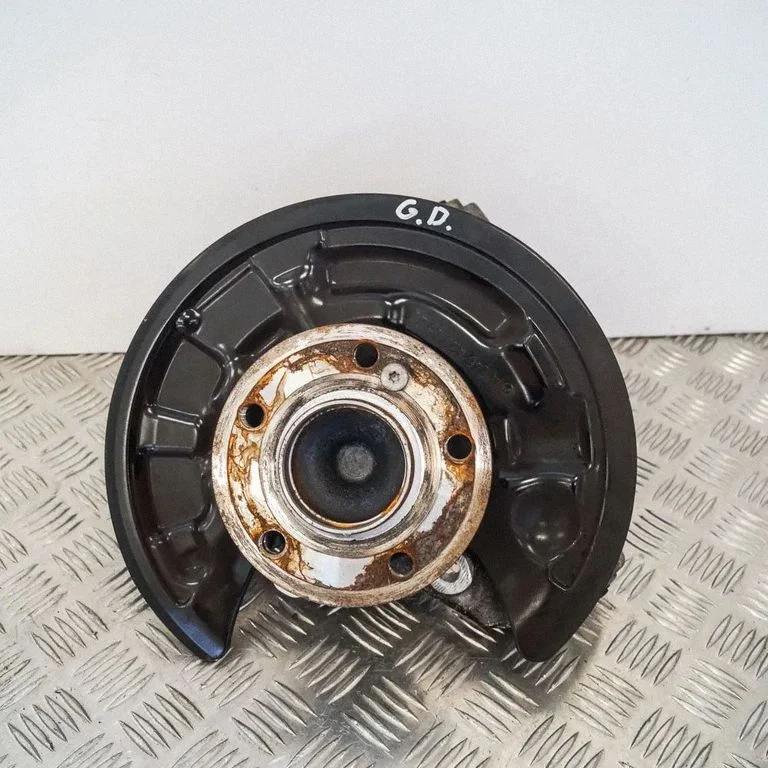 Aizmugurējā rumba 2460406A2464230520