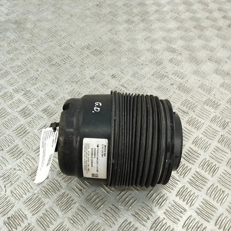 Tagumine õhkvedrustuse padi A1673203901