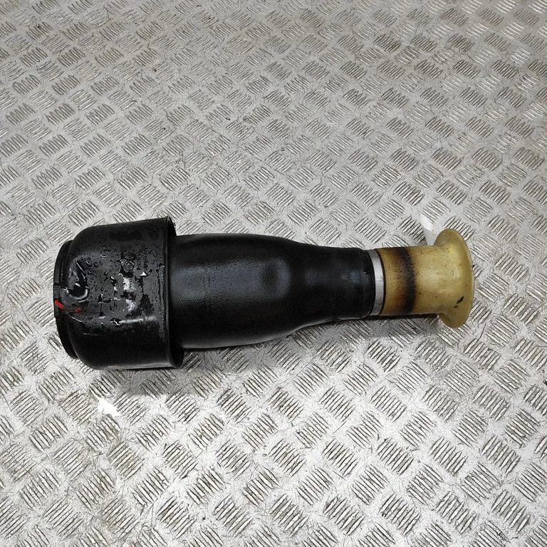 Rear air suspension bag/shock absorber 6784379