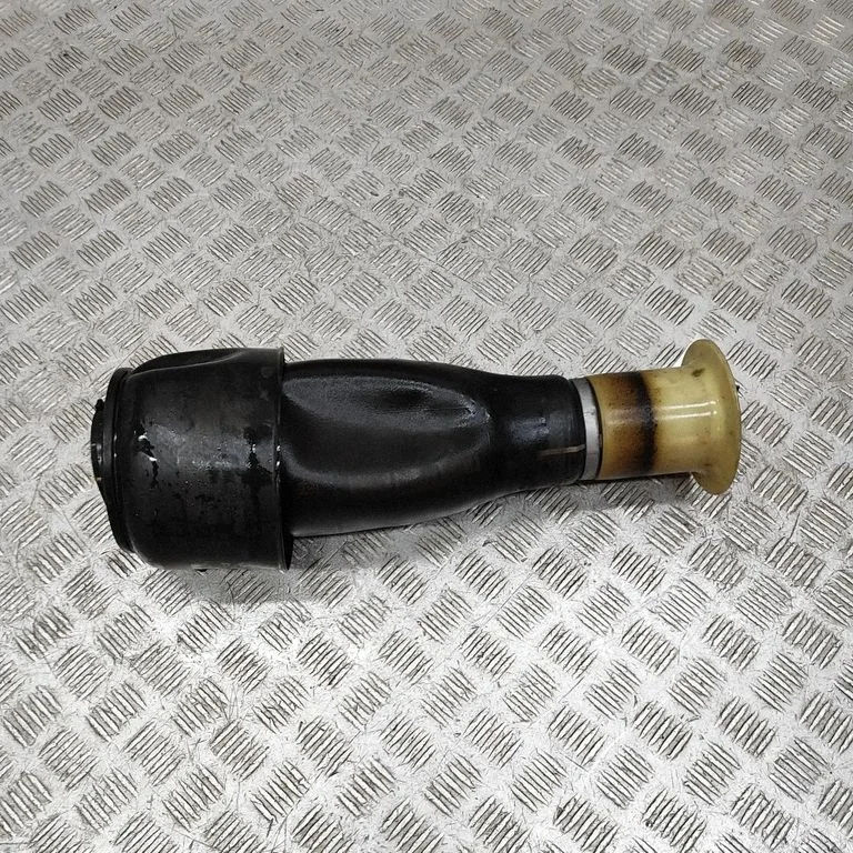 Rear air suspension bag/shock absorber 6784379