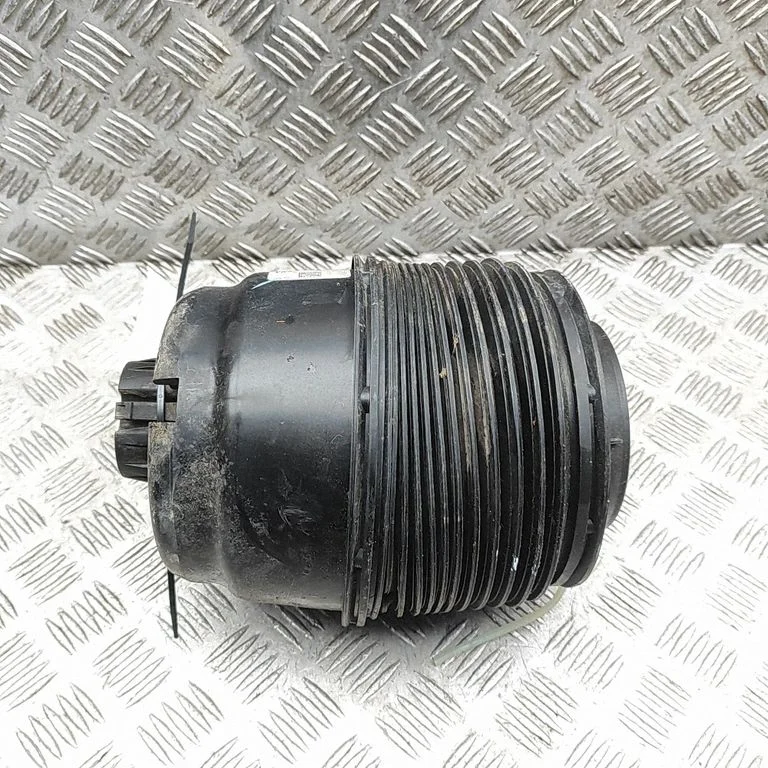 Tagumine õhkvedrustuse padi A1673203901