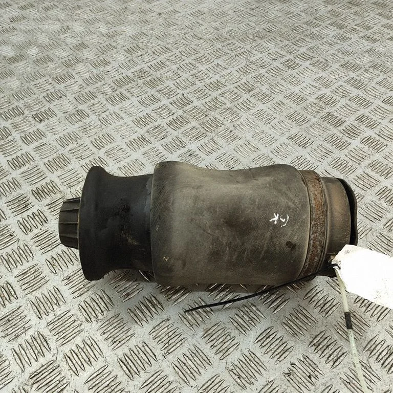 Rear air suspension bag/shock absorber A1663200325