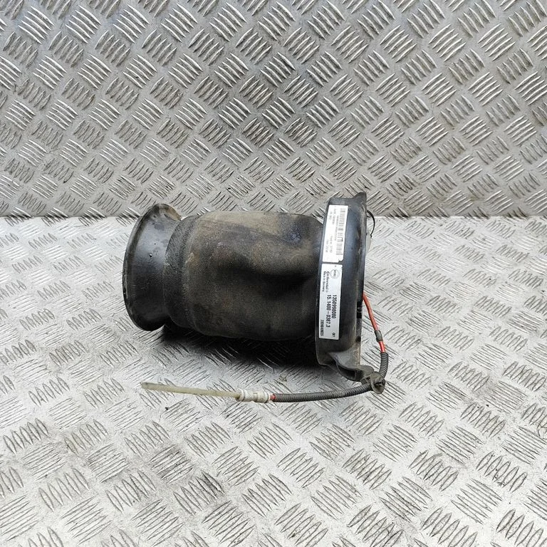 Aizmugurējais pneimatiskais (gaisa) spilvens 1350998080