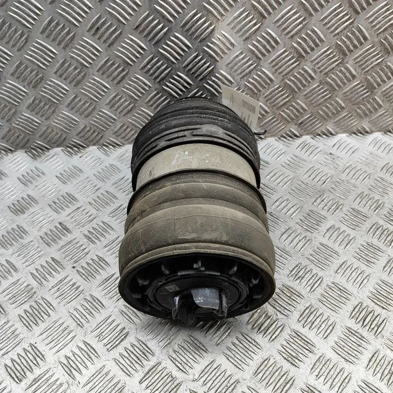 Aizmugurējais pneimatiskais (gaisa) spilvens A2973203501