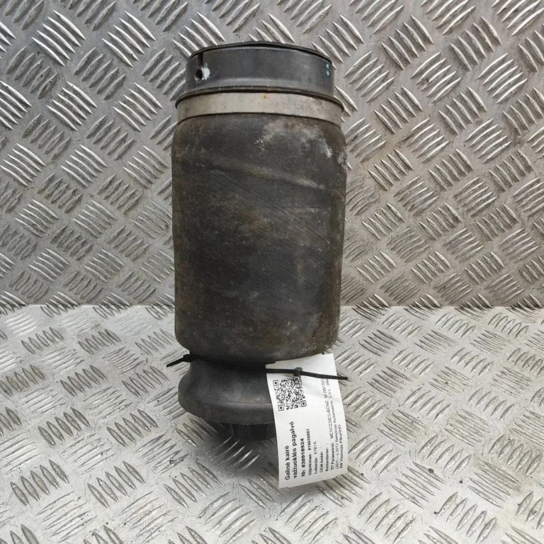 Rear air suspension bag/shock absorber A1663200625