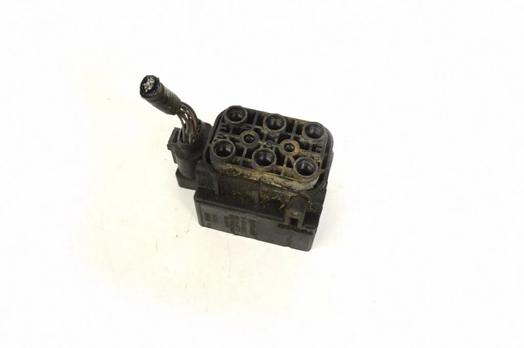 Gaisa balstiekārtas vadības bloks (aizmugurējais) – Tesla Model S (2012-)