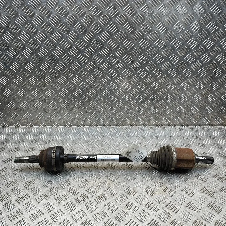 Aizmugurējā pusass 10929069