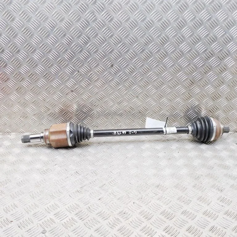 Aizmugurējā pusass 1EA501204T