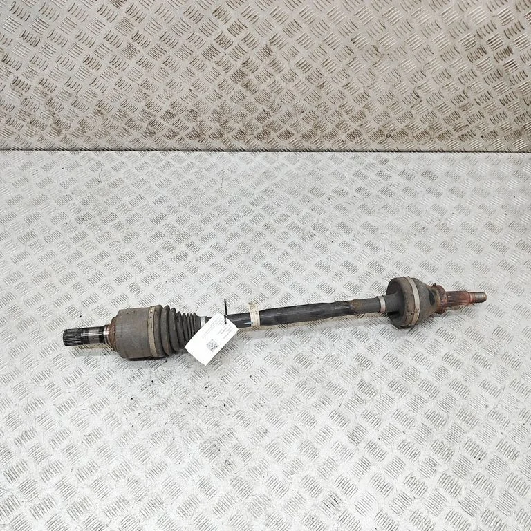 Aizmugurējā pusass 06700054530