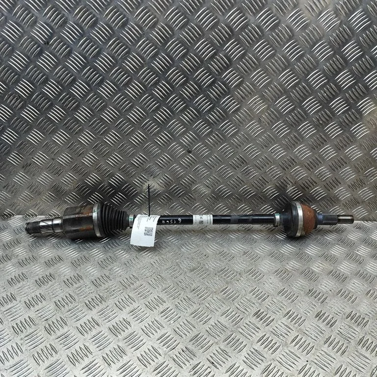 Aizmugurējā pusass 104416800A