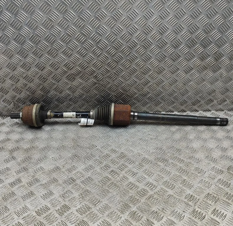Aizmugurējā pusass 32339099
