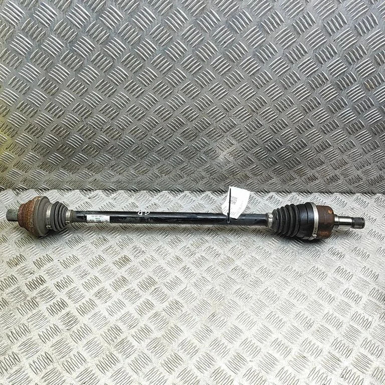 Aizmugurējā pusass 1EA501204J