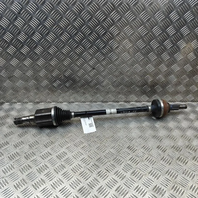 Aizmugurējā pusass 104416800A