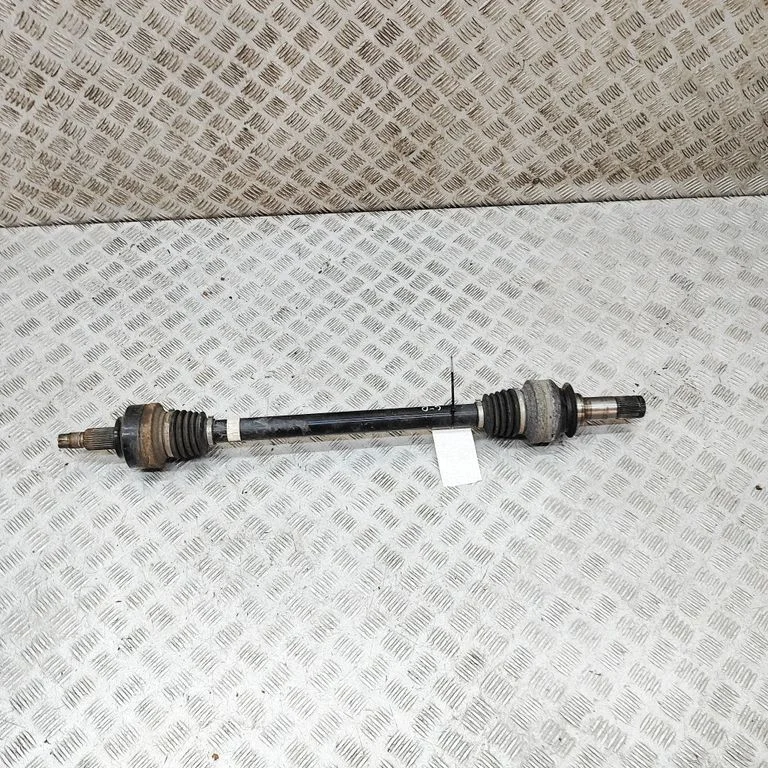Aizmugurējā pusass 50550424