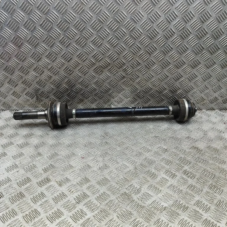 Aizmugurējā pusass 8089856