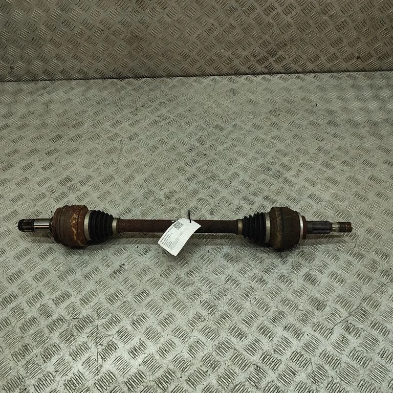 Aizmugurējā pusass 4234050070