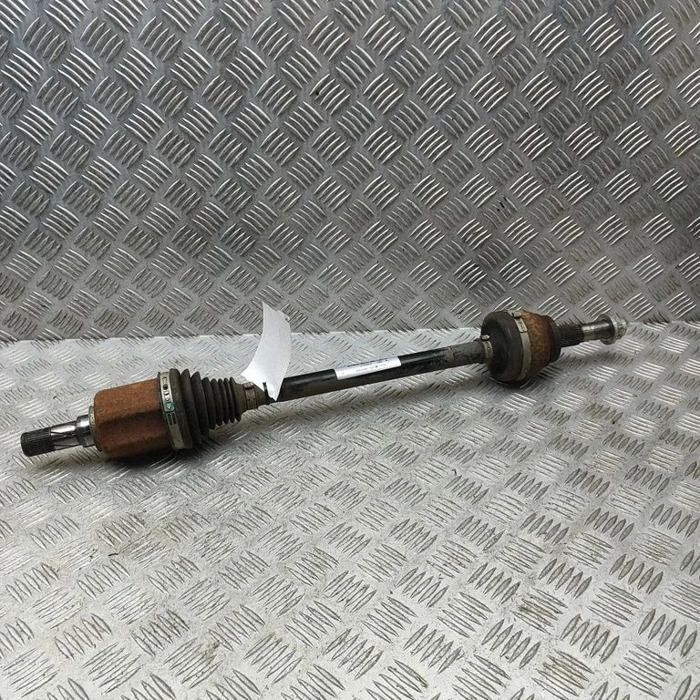 Aizmugurējā pusass 10929069