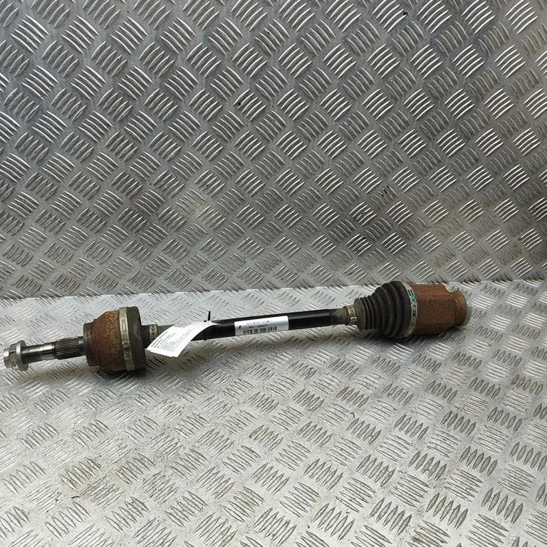 Aizmugurējā pusass 10929071