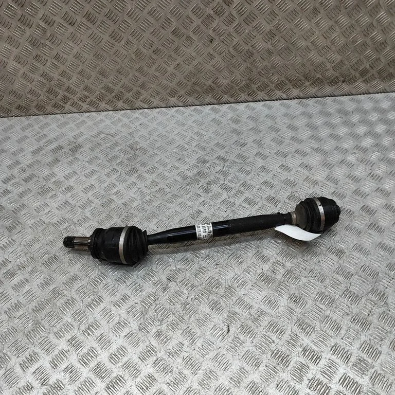 Aizmugurējā pusass 9884799