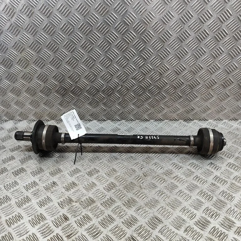 Aizmugurējā pusass 8487533