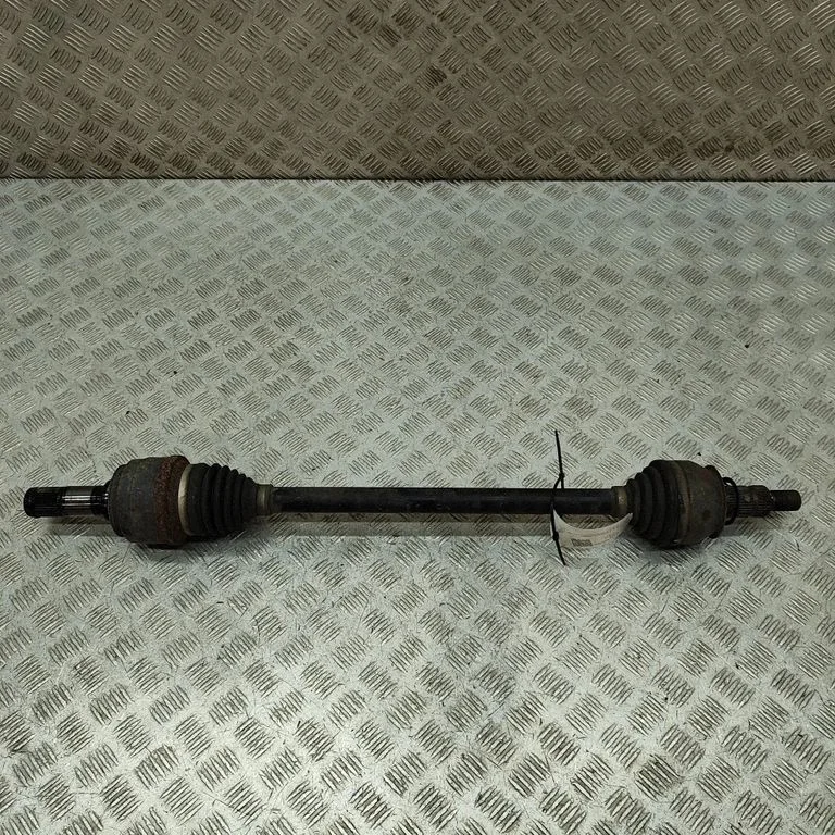 Aizmugurējā pusass 22813176