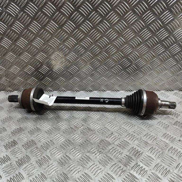 Aizmugurējā pusass P32339346