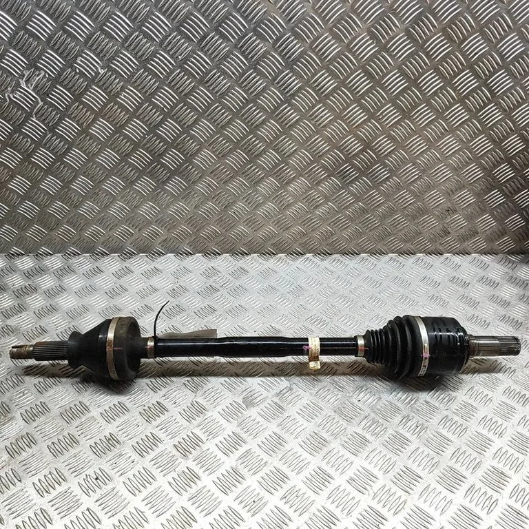 Aizmugurējā pusass 670005454