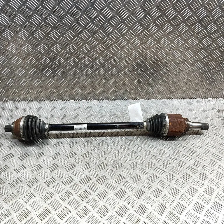 Aizmugurējā pusass 1EA501204T