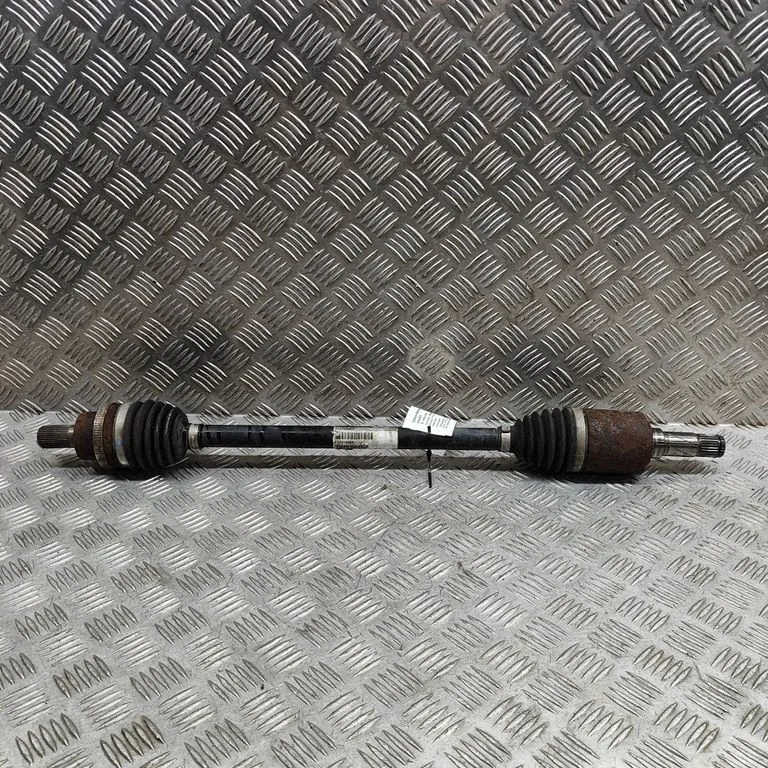 Aizmugurējā pusass 31259504