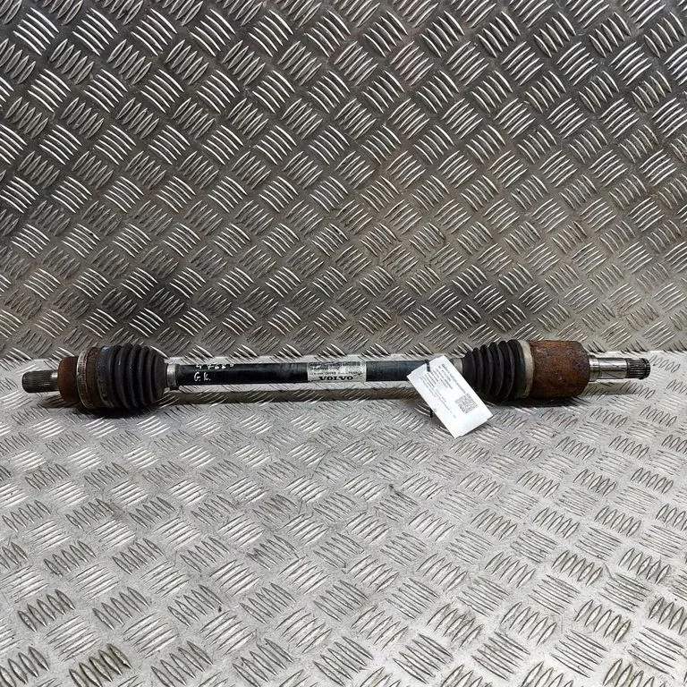 Aizmugurējā pusass 31259504