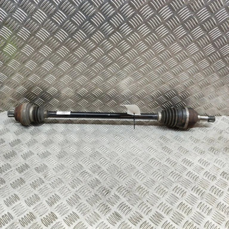 Aizmugurējā pusass 1EA501204G
