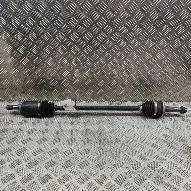 Aizmugurējā pusass 423400E200
